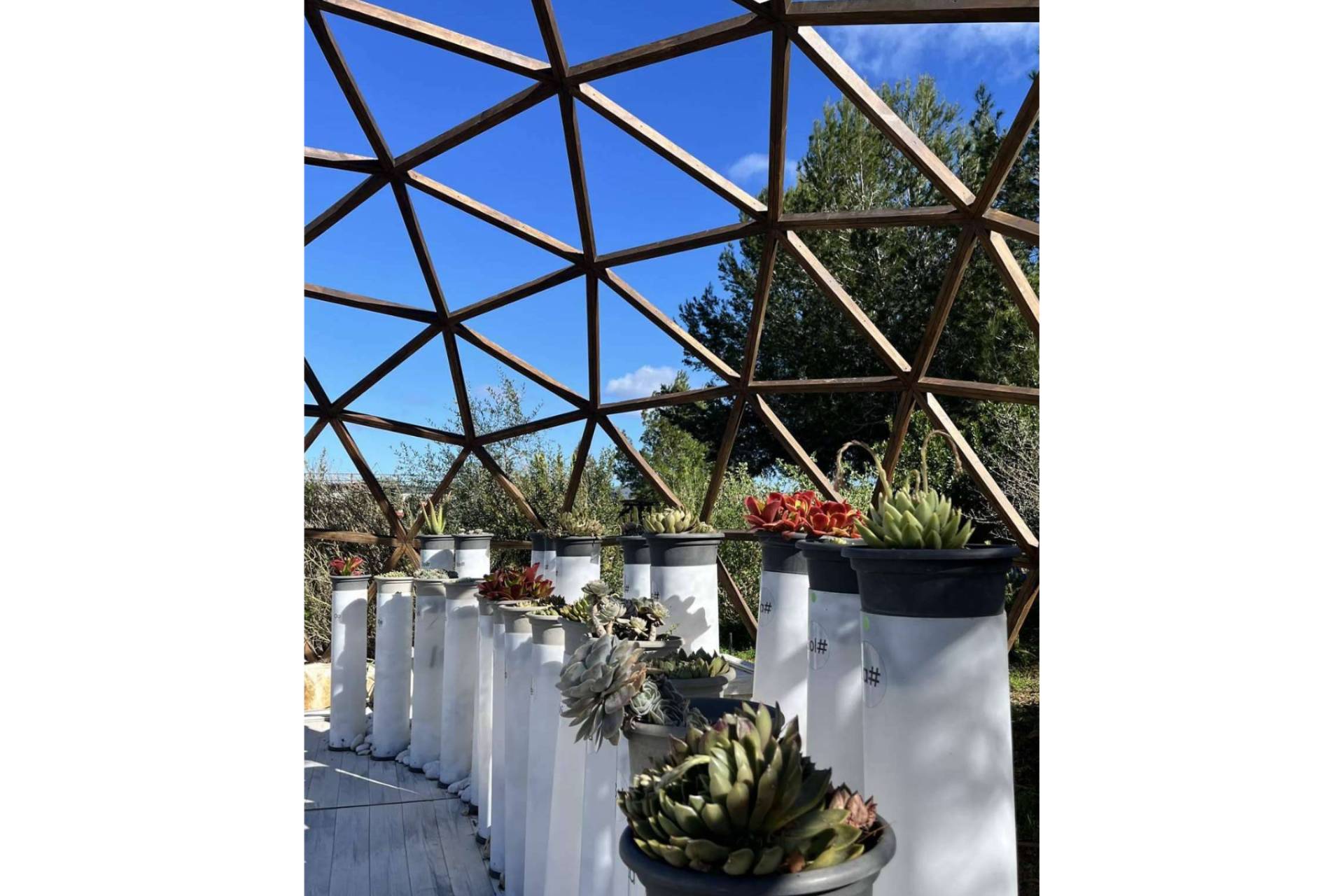 Descubrir Ibiza de forma diferente; Bibo Park, un imprescindible para los amantes de la ciencia y la biodiversidad