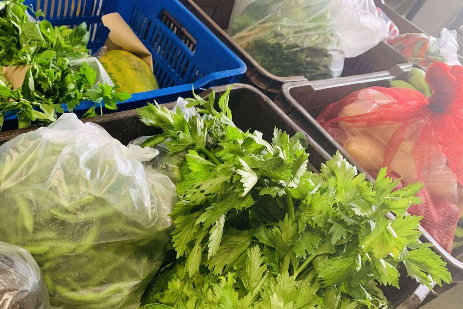 Comodidad y calidad en cada compra con la nueva plataforma online Mercado La Terminal