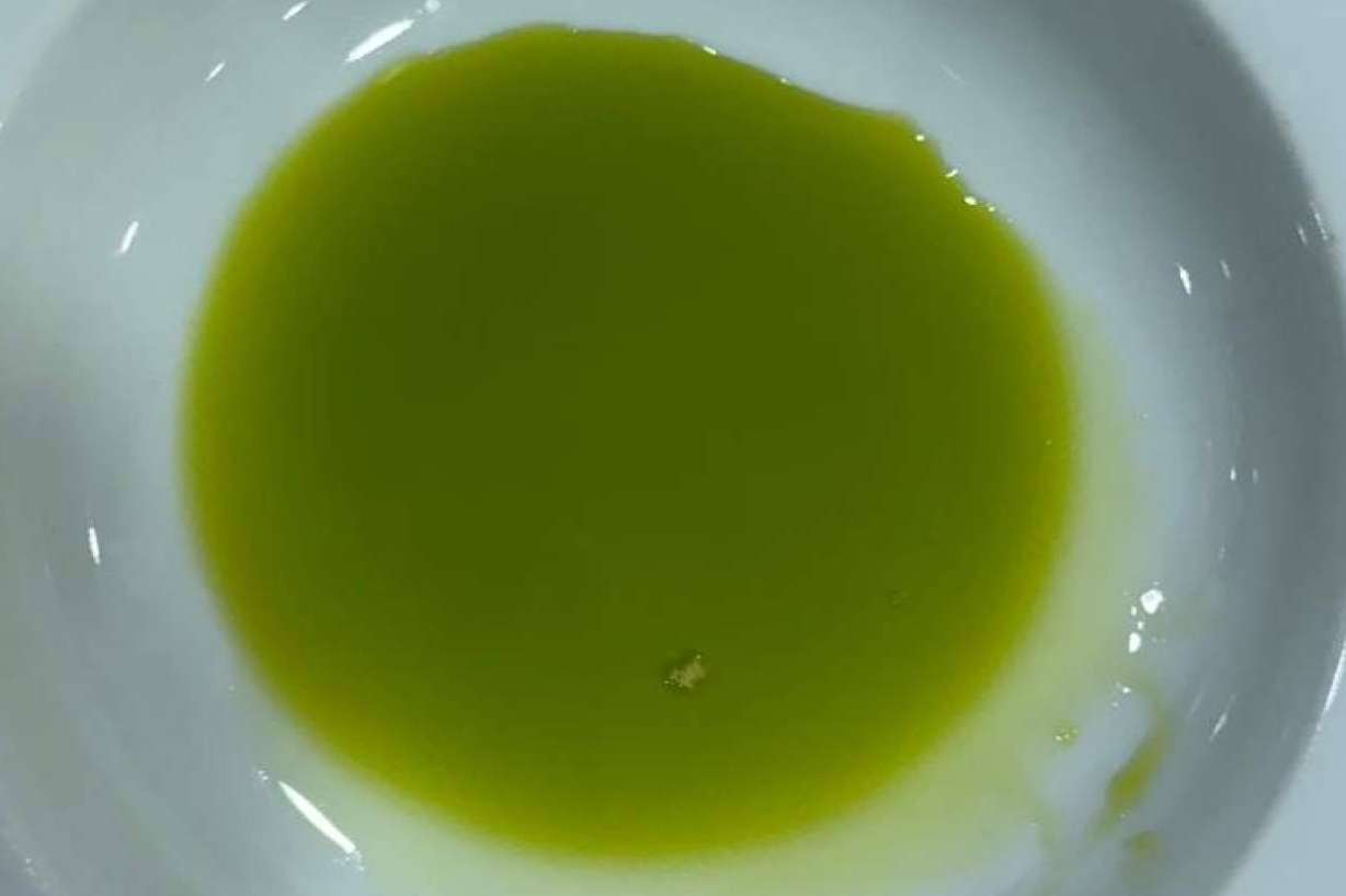 Del olivar a la botella, el viaje exquisito del aceite de oliva gourmet de Tercio de las Torres