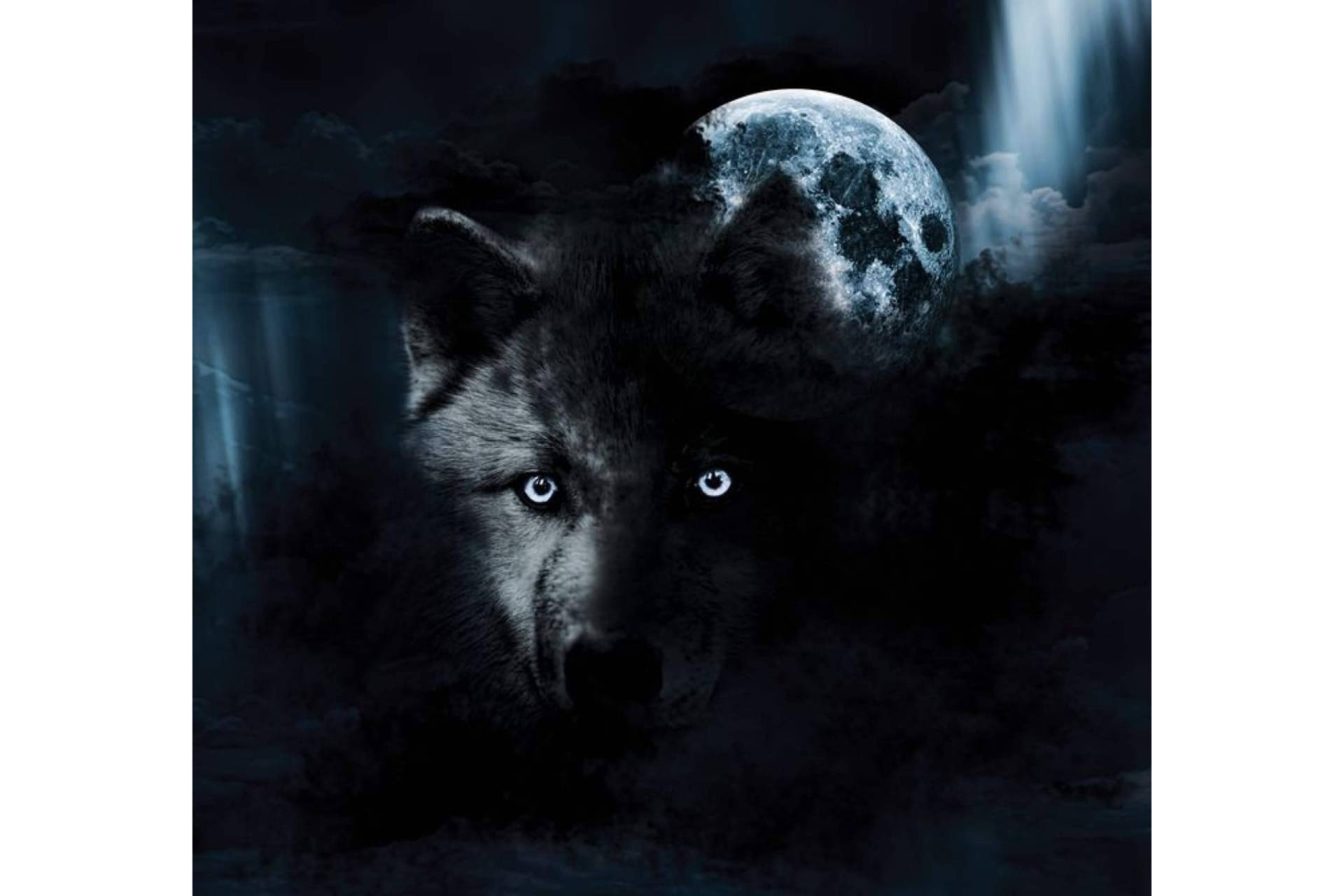 Diego de Membiela propone dos novelas breves unidas por un mismo símbolo; el lobo