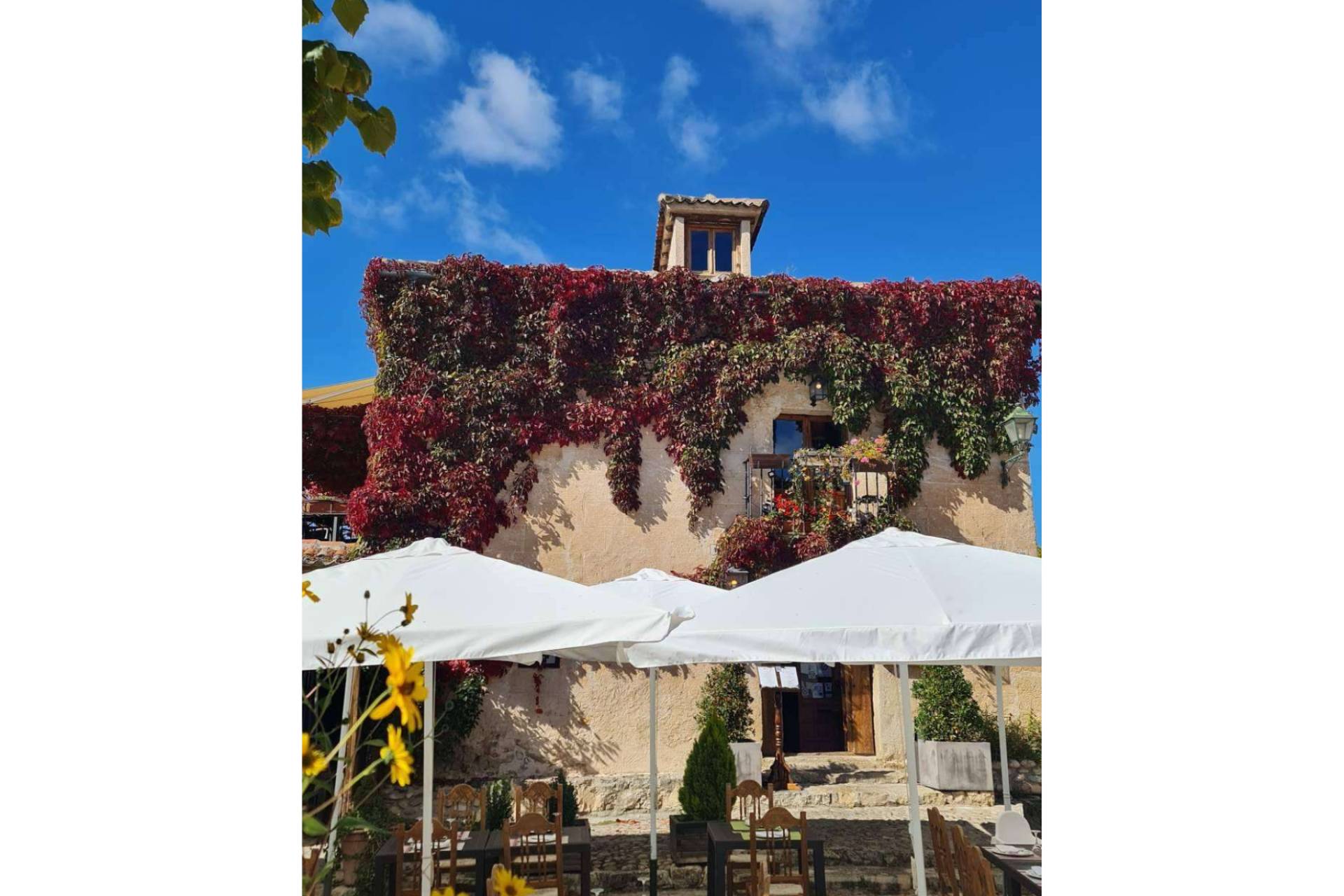 Descanso y sabor en Pedraza; la combinación de El Refugio y La Olma