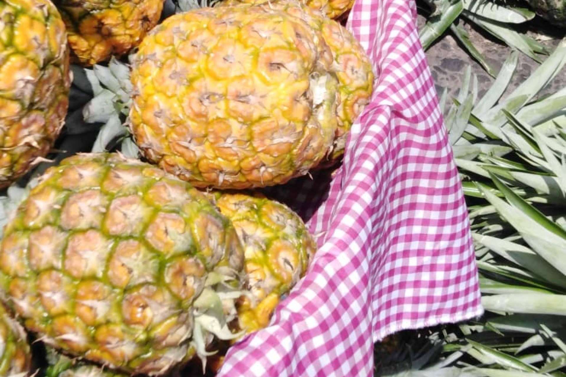 Mercado La Terminal Online apuesta por la compra digital de frutas y verduras frescas