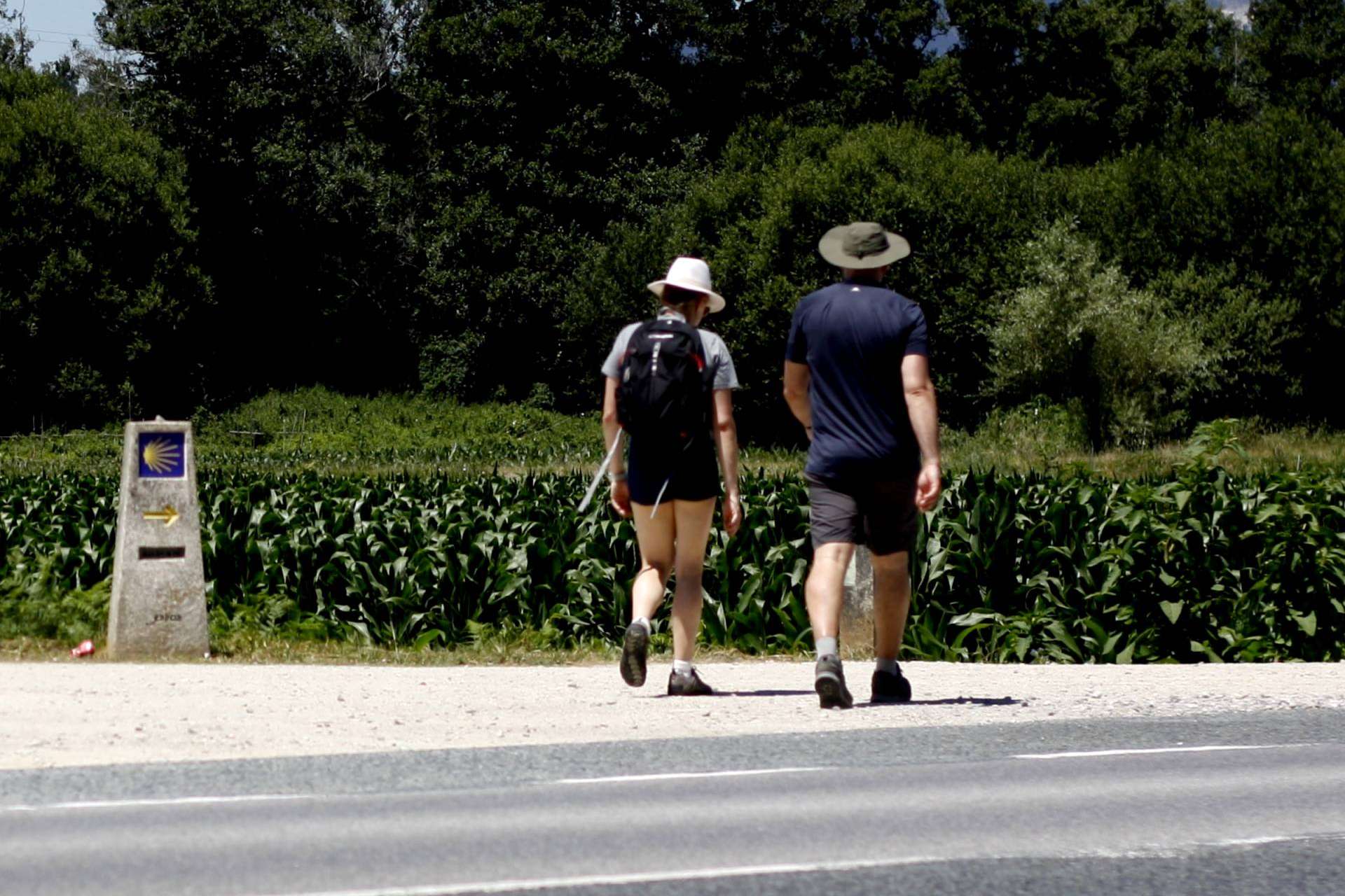 Ventajas de contratar una agencia de viajes en el Camino de Santiago, planificación sin preocupaciones y experiencias personalizadas