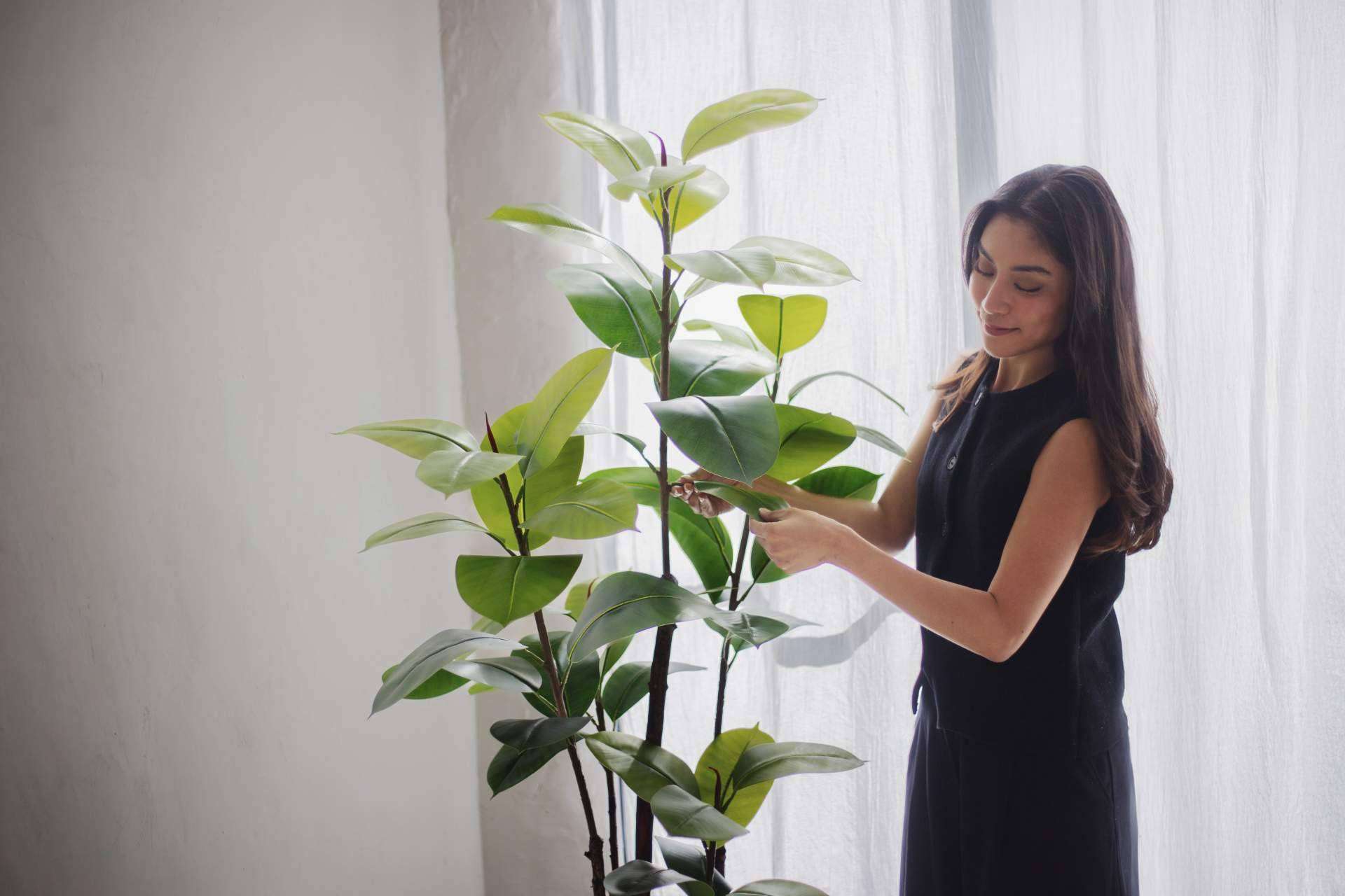MAIA SHOP; El secreto mejor guardado de la decoración premium ya tiene nombre