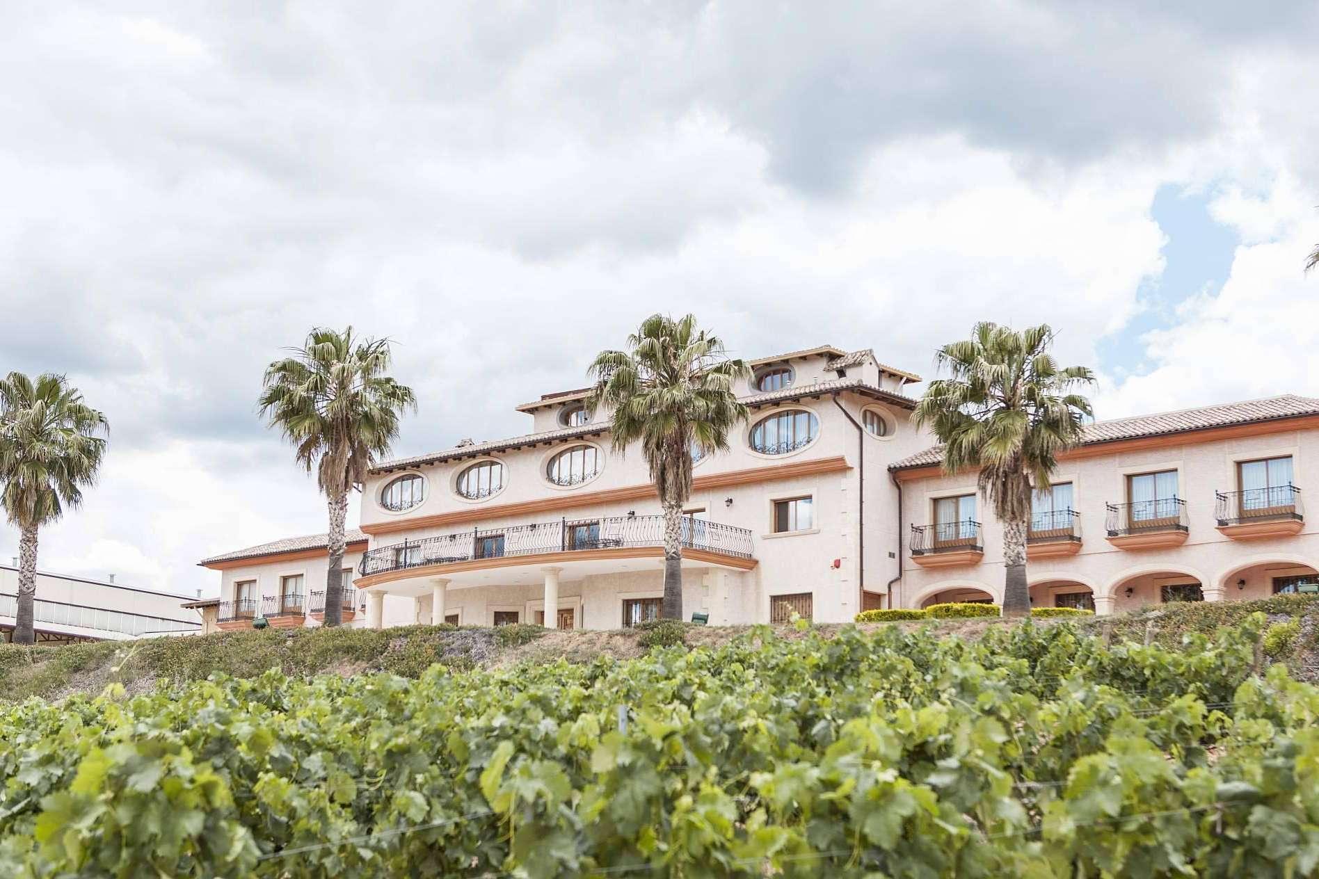 Vegamar impulsa la fusión entre tradición y modernidad en sus vinos gourmet del Alto Turia