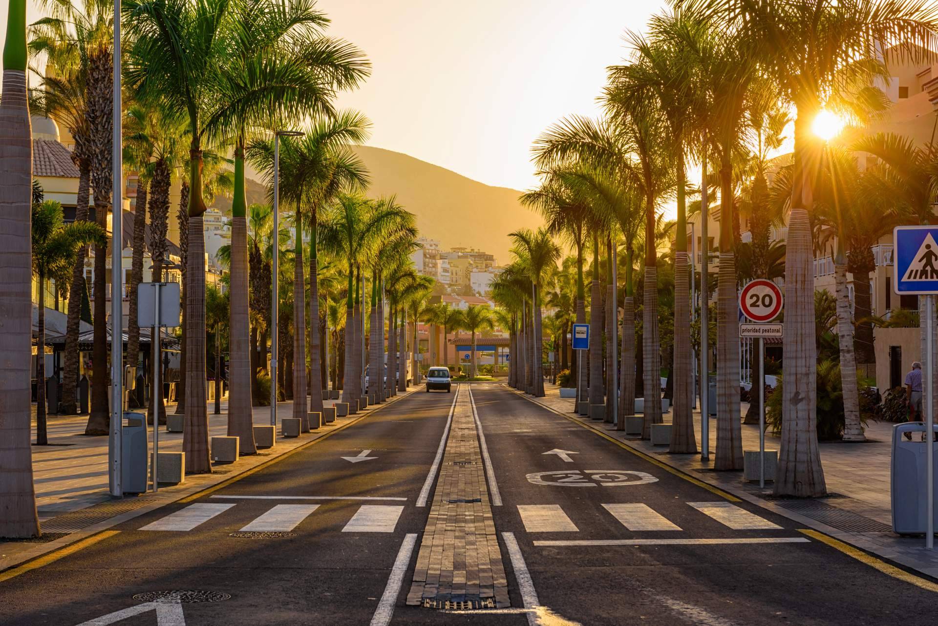 Canarias.com ofrece un servicio de alquiler de coches que convierte cada viaje en una experiencia memorable