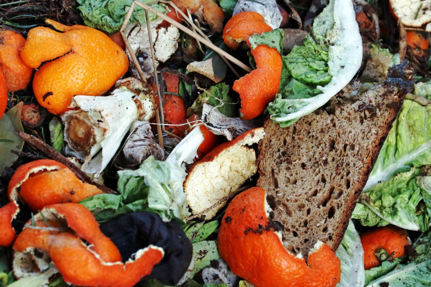 Claves para cumplir la Ley 1/2025 contra el desperdicio alimentario