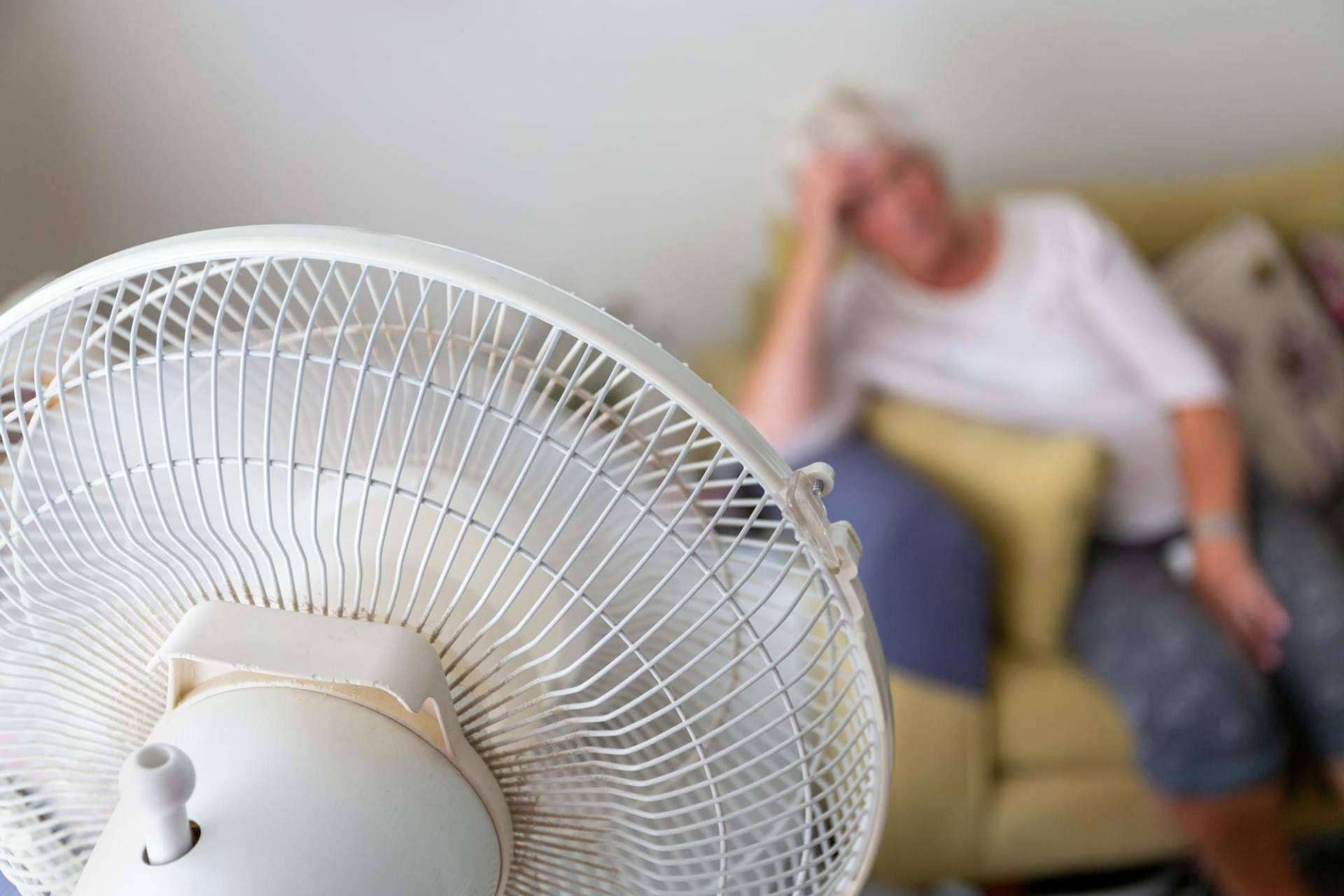 Bastilipo advierte del riesgo de ventiladores importados sin control normativo desde plataformas asiáticas