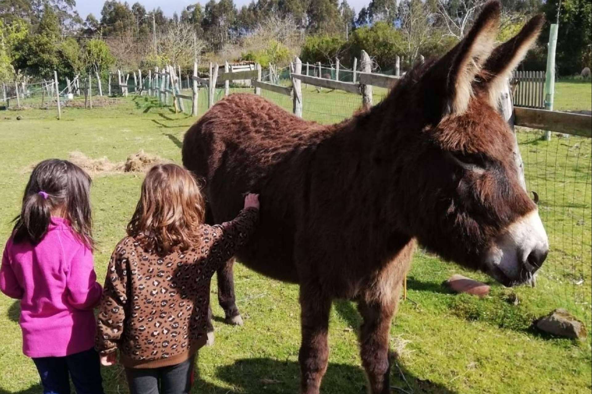 El Ecomuséu Ca l’Asturcón ofrece actividades de ecoagroturismo; manejo natural de asturcones y talleres artesanales