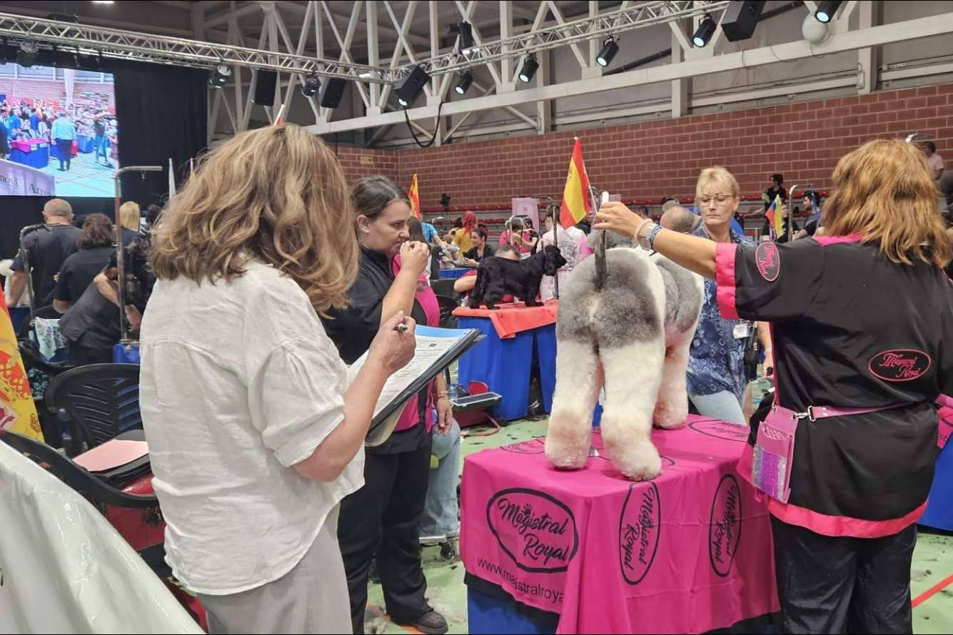 El arte del estilismo canino mundial llega a Murcia en octubre