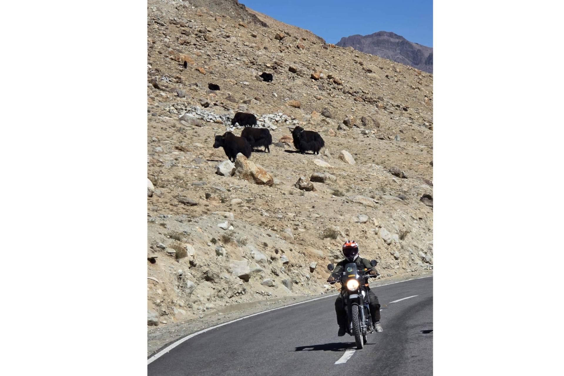 La carretera más alta del mundo en moto; aventura extrema en el Himalaya