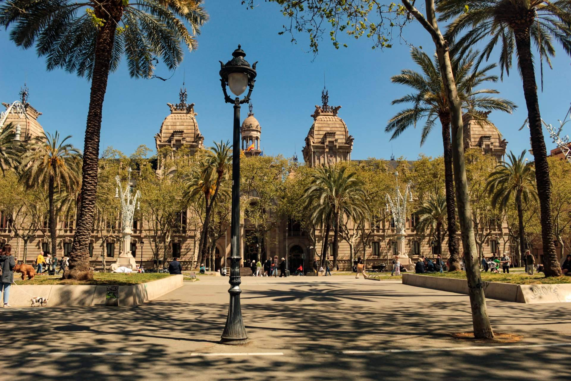 HALLON obtiene respaldo judicial para seguir consignando derechos de autor conforme a la Ley