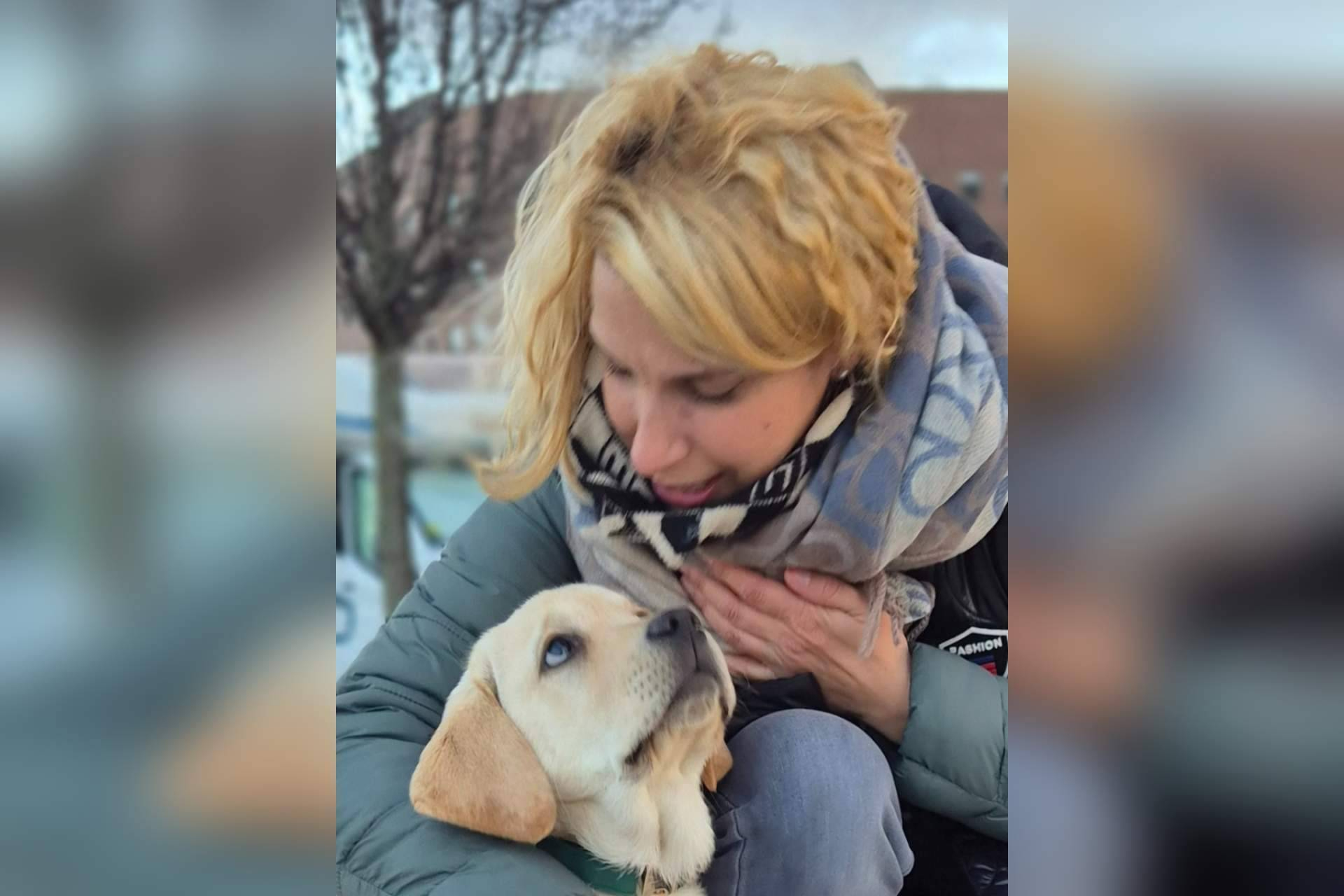 Referentes en adiestramiento canino en Madrid; la experiencia de Cole de Canes