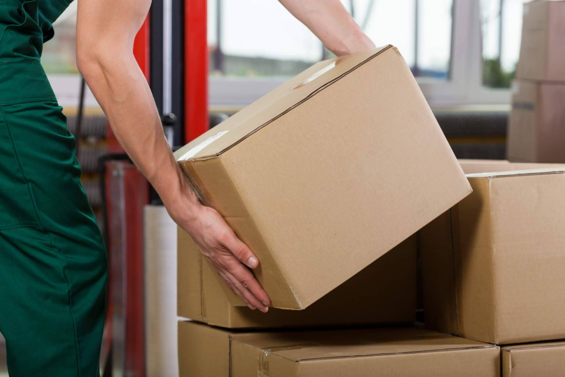 Planificación logística en temporada alta; retos, soluciones y herramientas clave