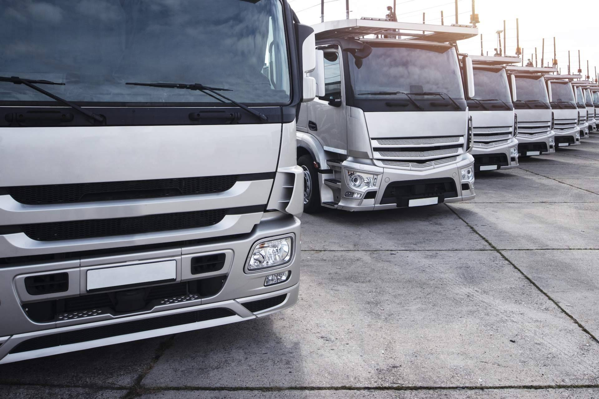 Easy Trans apuesta por la eficiencia en el transporte terrestre de mercancías con enfoque multimodal