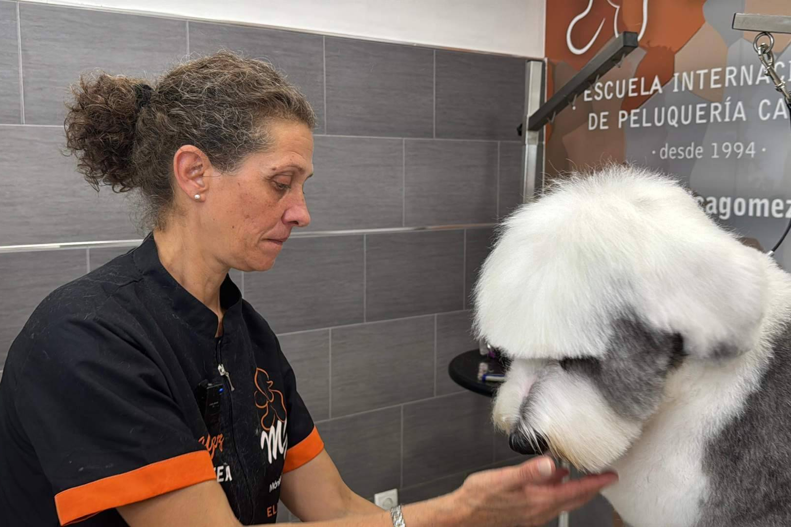Escuela Mónica Gómez impulsa la formación práctica en peluquería canina en España
