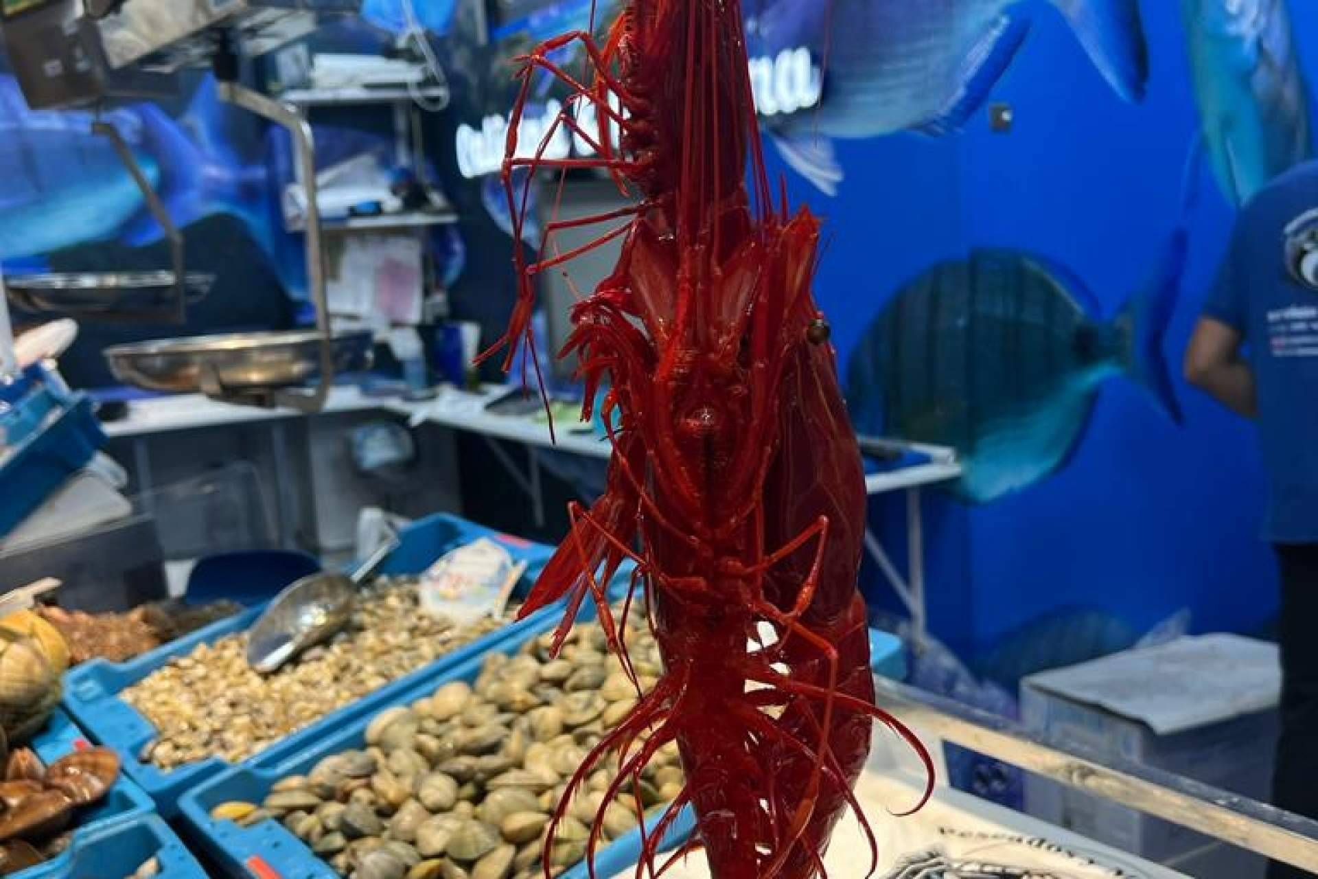 Pescadería Younes Ceuta refuerza su presencia en el Mercado Central con marisco vivo y atención por WhatsApp