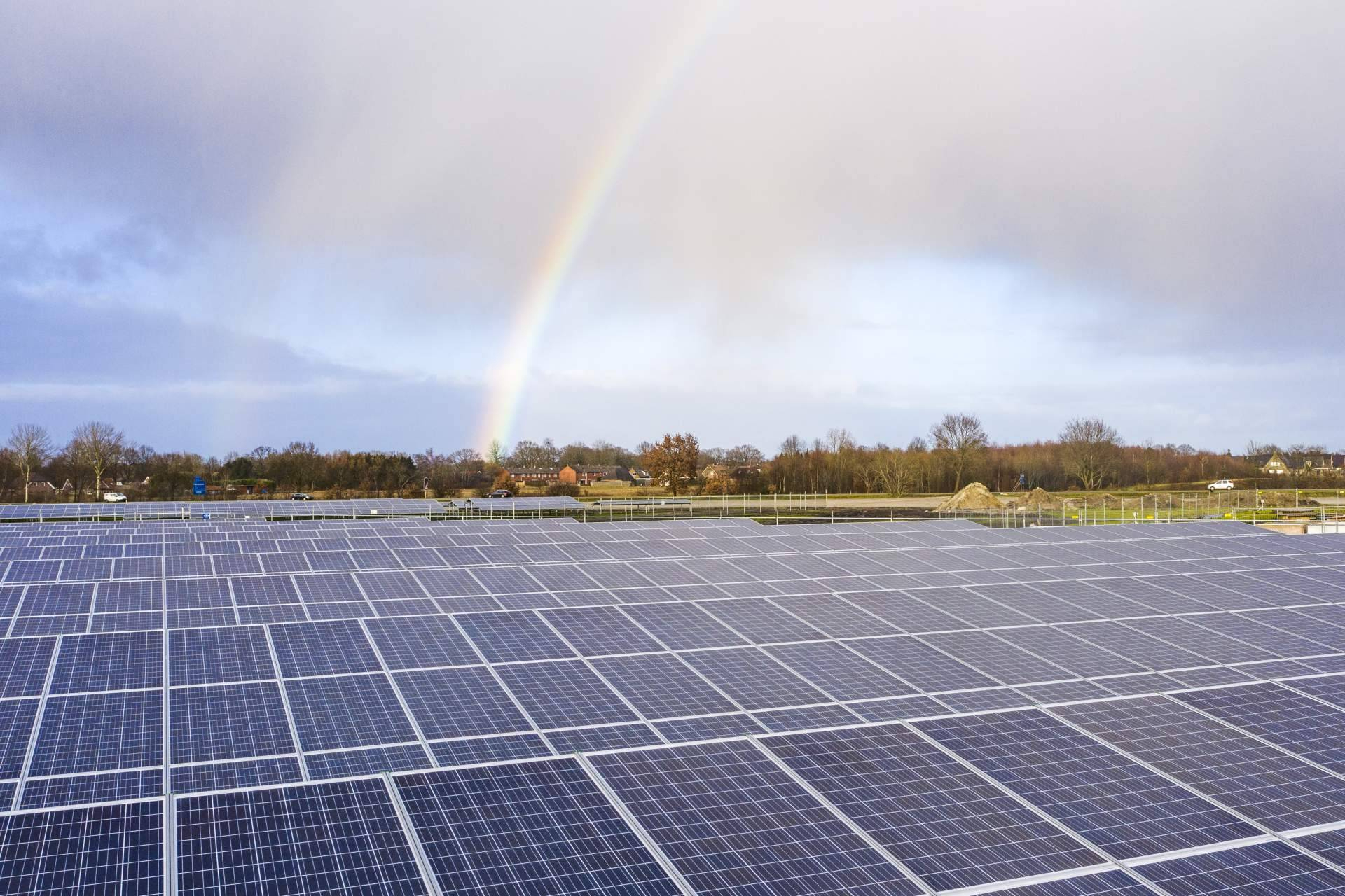 Eficiencia operativa y control remoto para plantas solares; la propuesta de BayWa r.e.