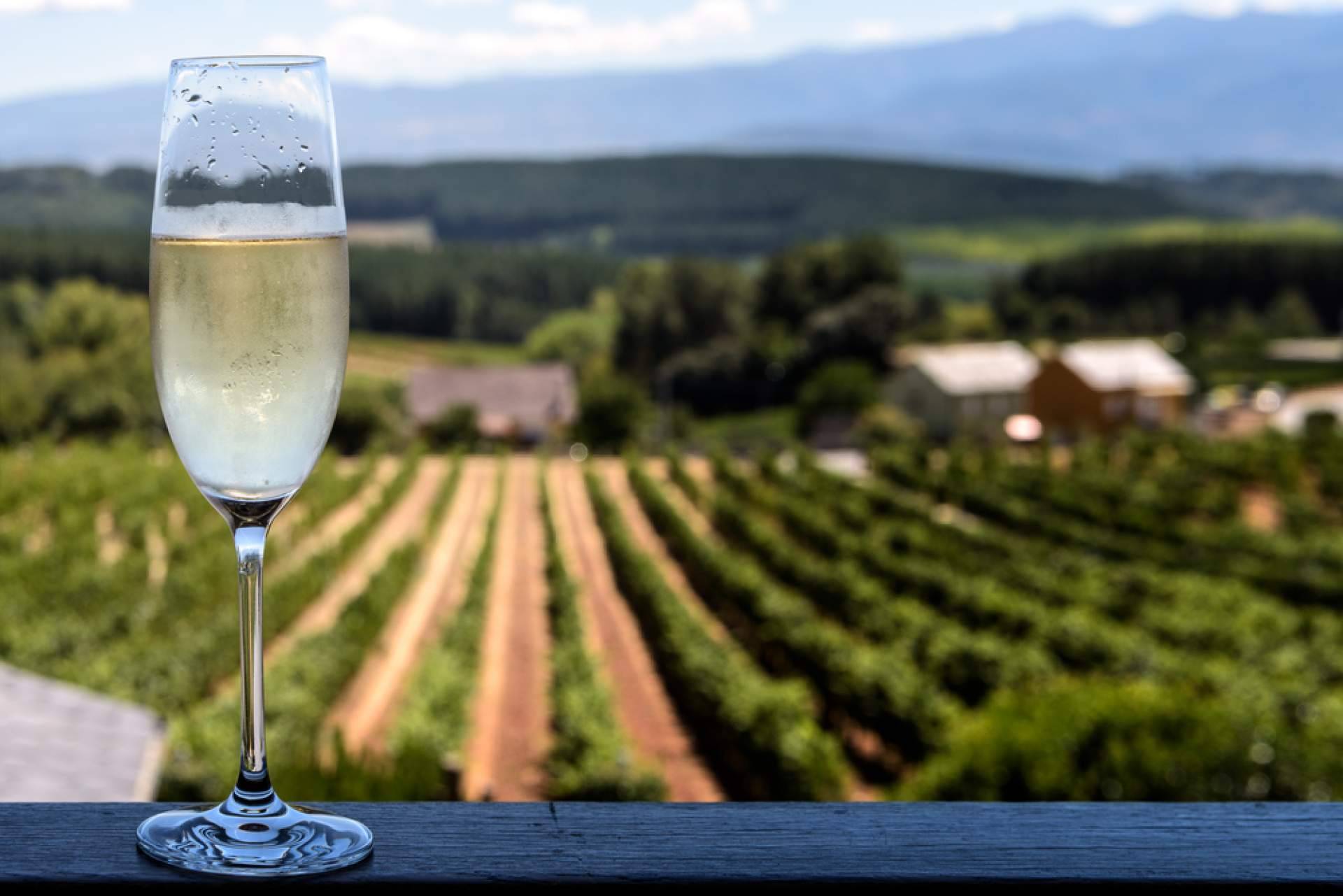 Montesquius y Robert J. Mur, premiados por su calidad y disponibles en Naturelovers Wines