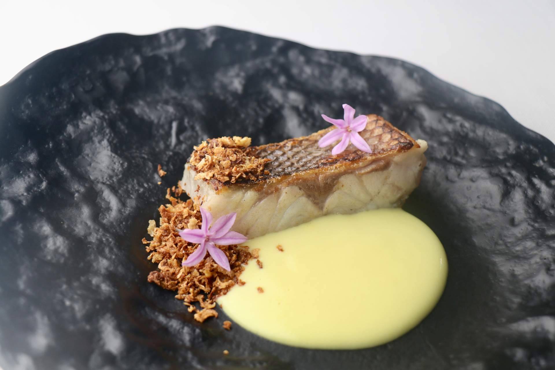Sostenibilidad en la alta cocina en Valencia, Lienzo
