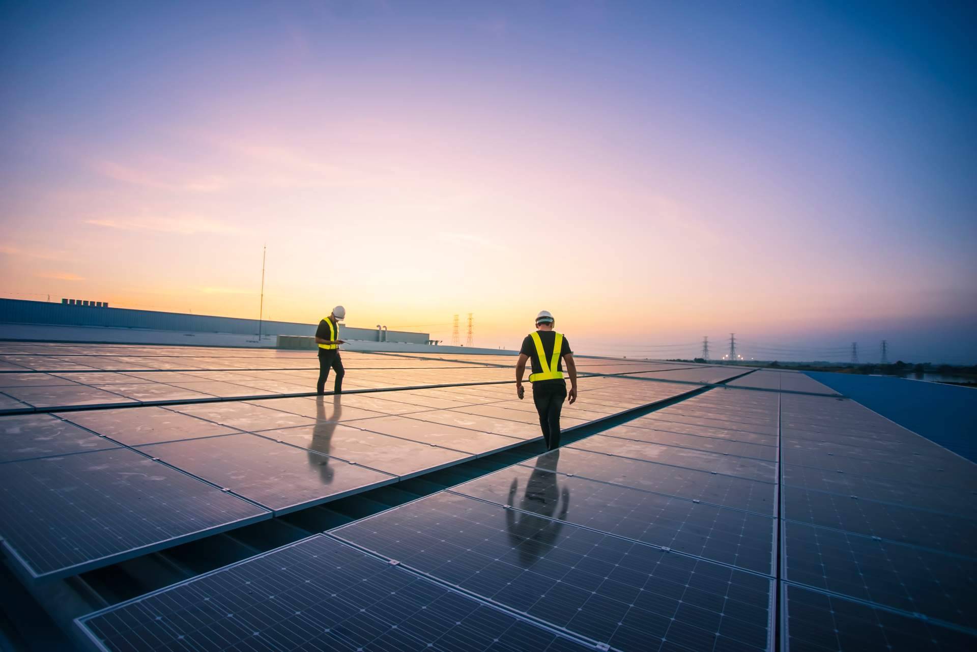 La apuesta fotovoltaica de Celectricos refuerza su liderazgo en material eléctrico sostenible en España