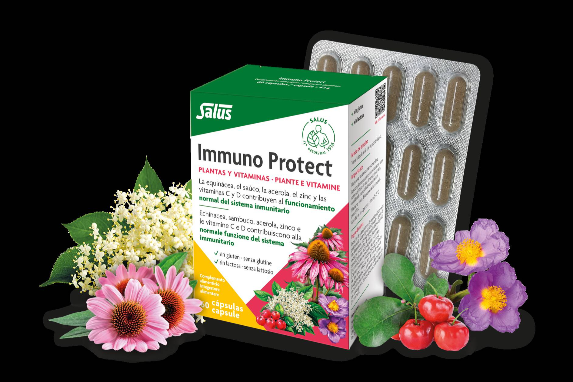 Cómo Immuno Protect ayuda a mantener las defensas fuertes frente a virus y bacterias