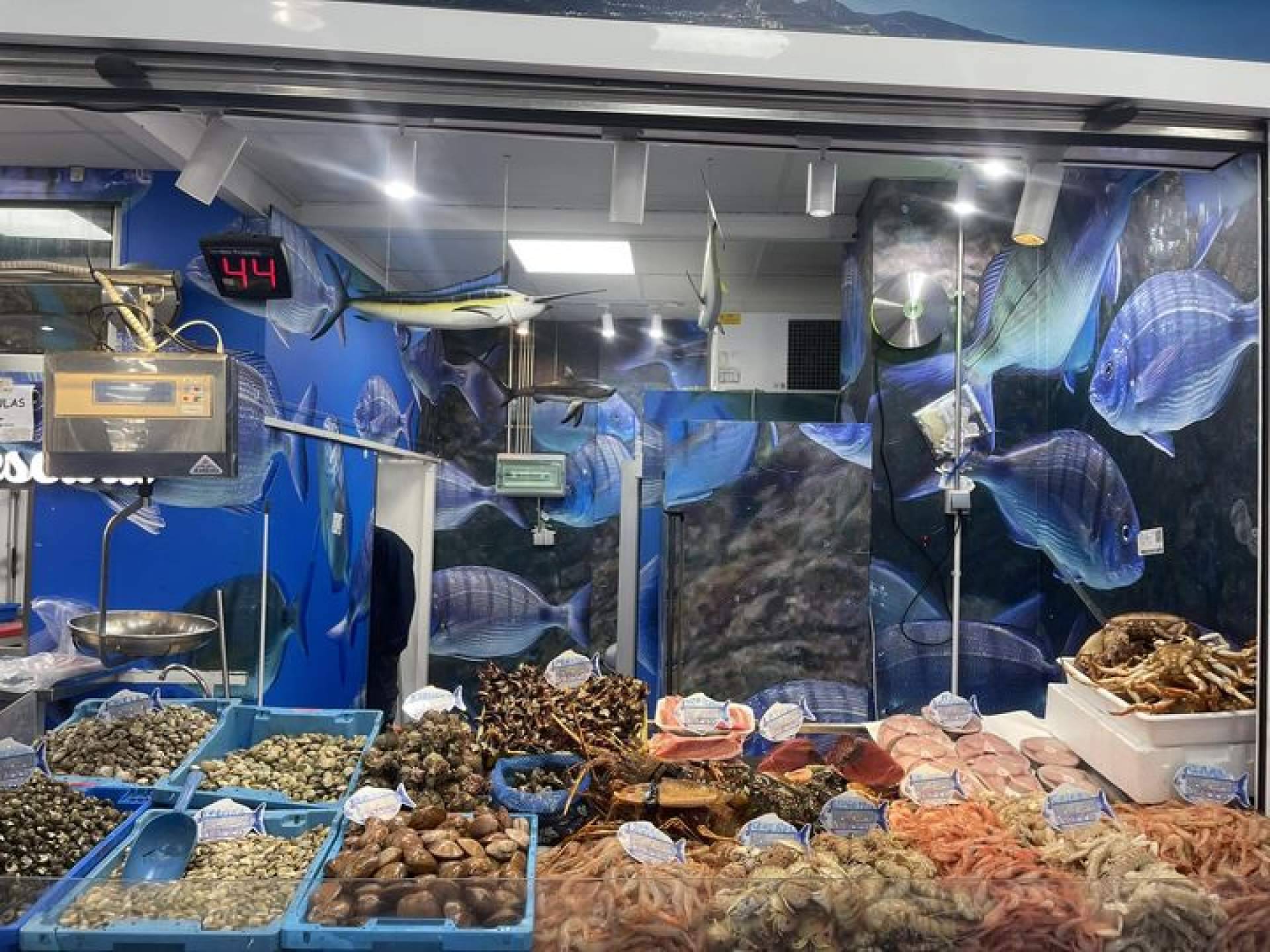 Más de 50 especies y marisco vivo con vivero propio en Pescadería Younes Ceuta