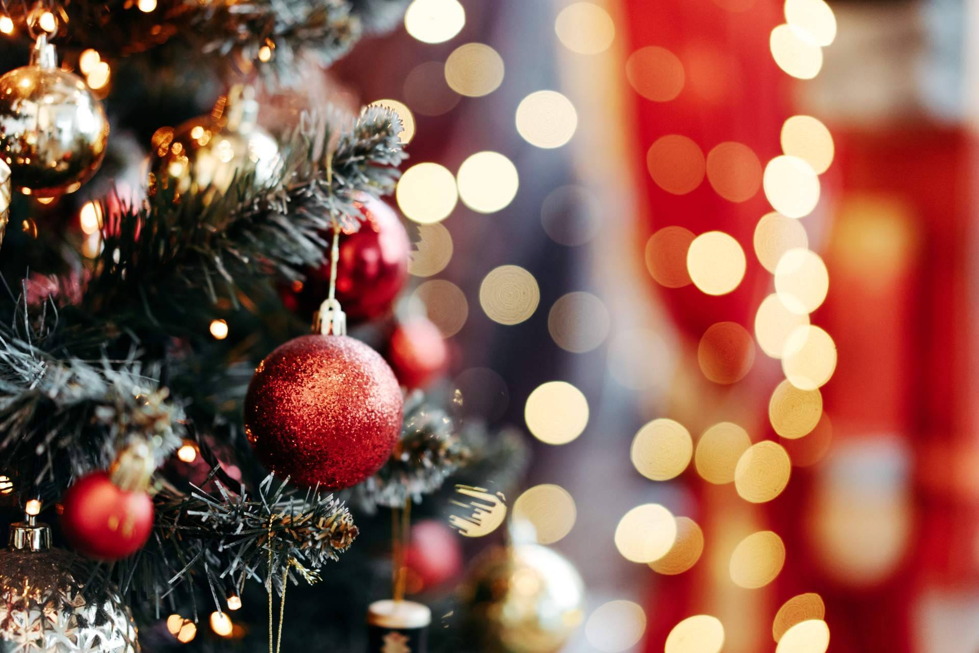 Feliz Navidad y próspero 2026, Elsegurodemibarco.com agradece la confianza de sus clientes este año