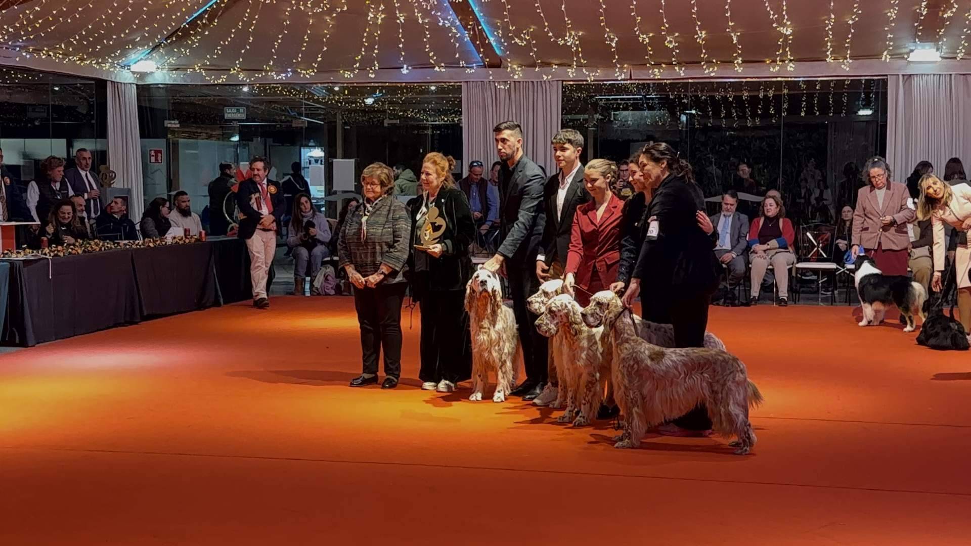 La Primera Copa de Criadores 2025 celebra una edición histórica y premia al pastor australiano Once in a Life Time de La Noval