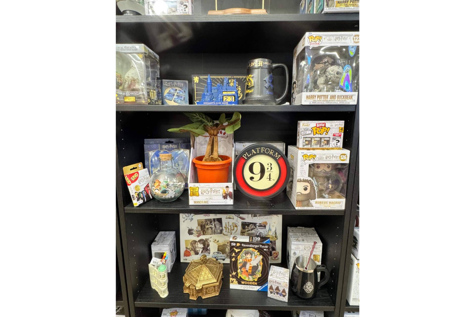 Passarella, la tienda de referencia de Harry Potter en Valencia