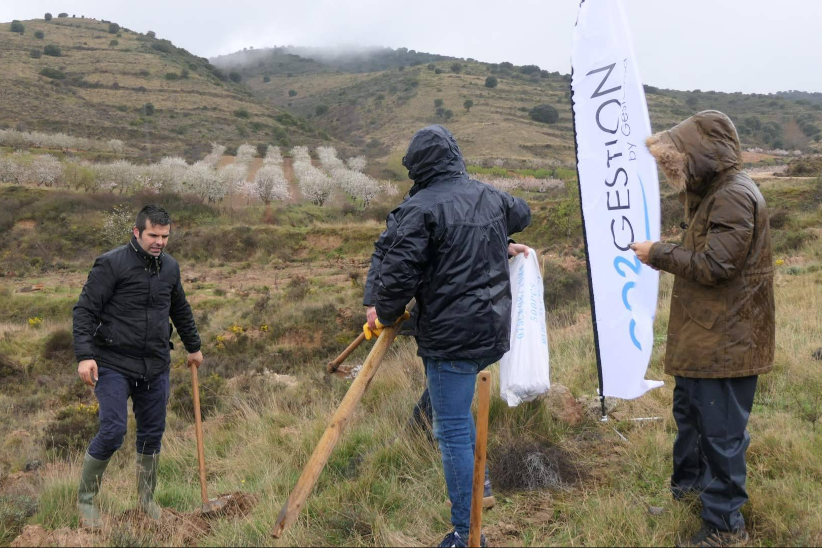 Reforestación corporativa en España; CO2 Gestión promueve bosques para compensar emisiones