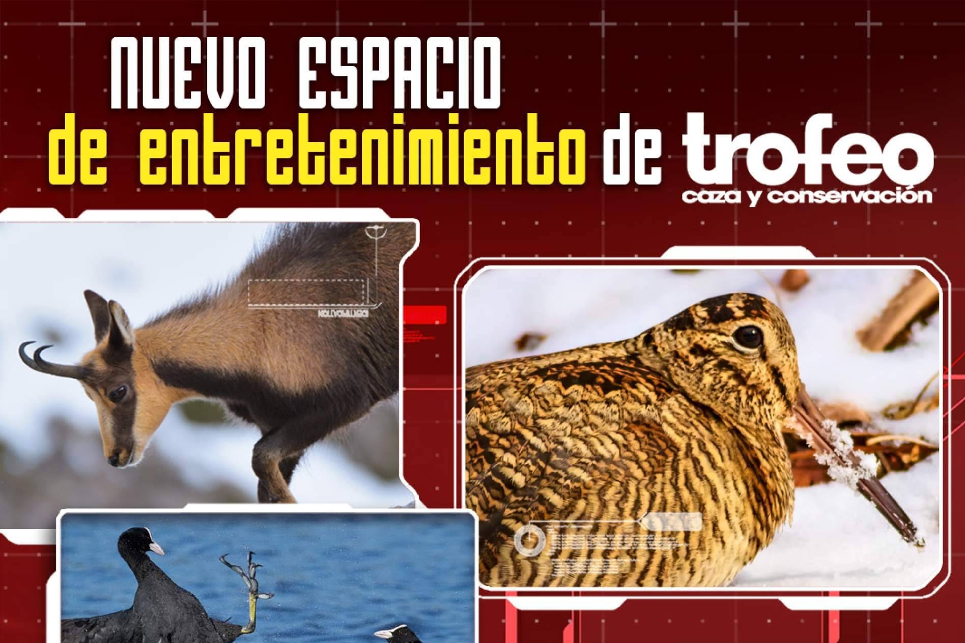 Trofeo Caza consolida su espacio interactivo como punto de encuentro del ocio cinegético online