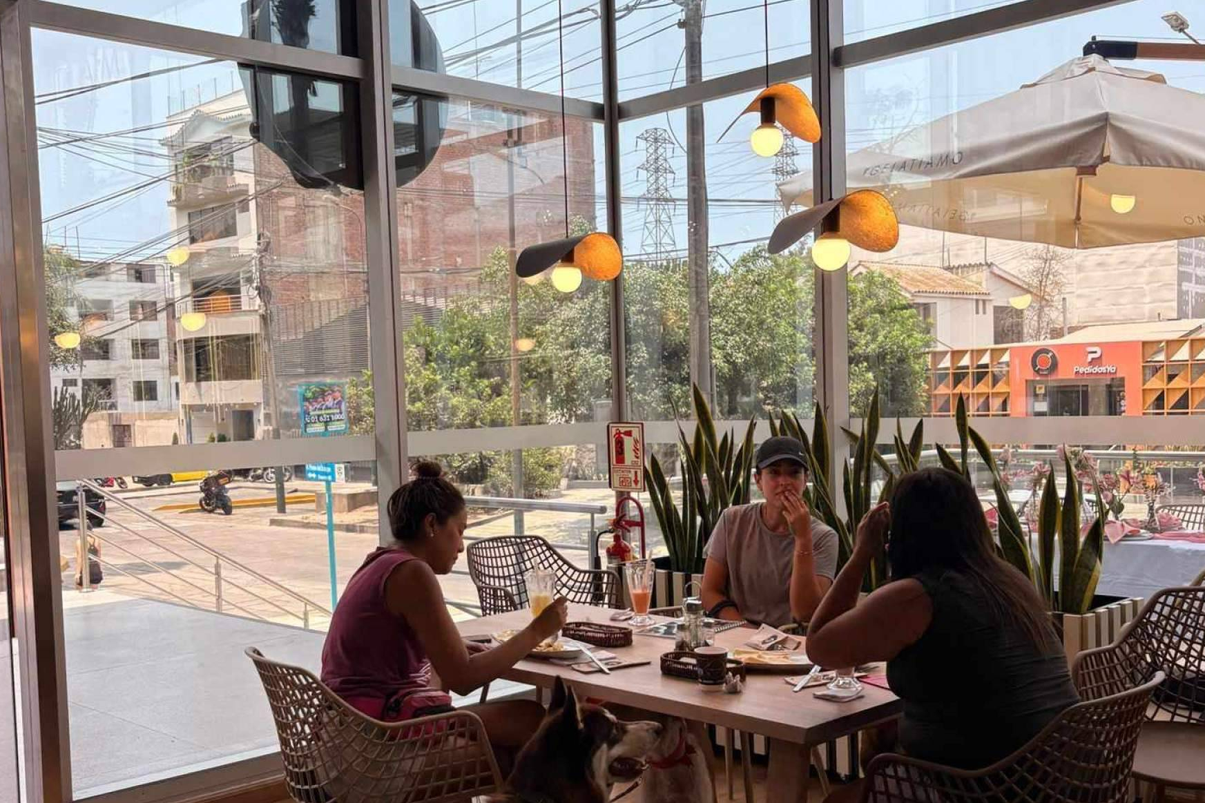 Gelatiamo; modelo híbrido y solidez europea en la franquicia gelato para el emprendedor chileno