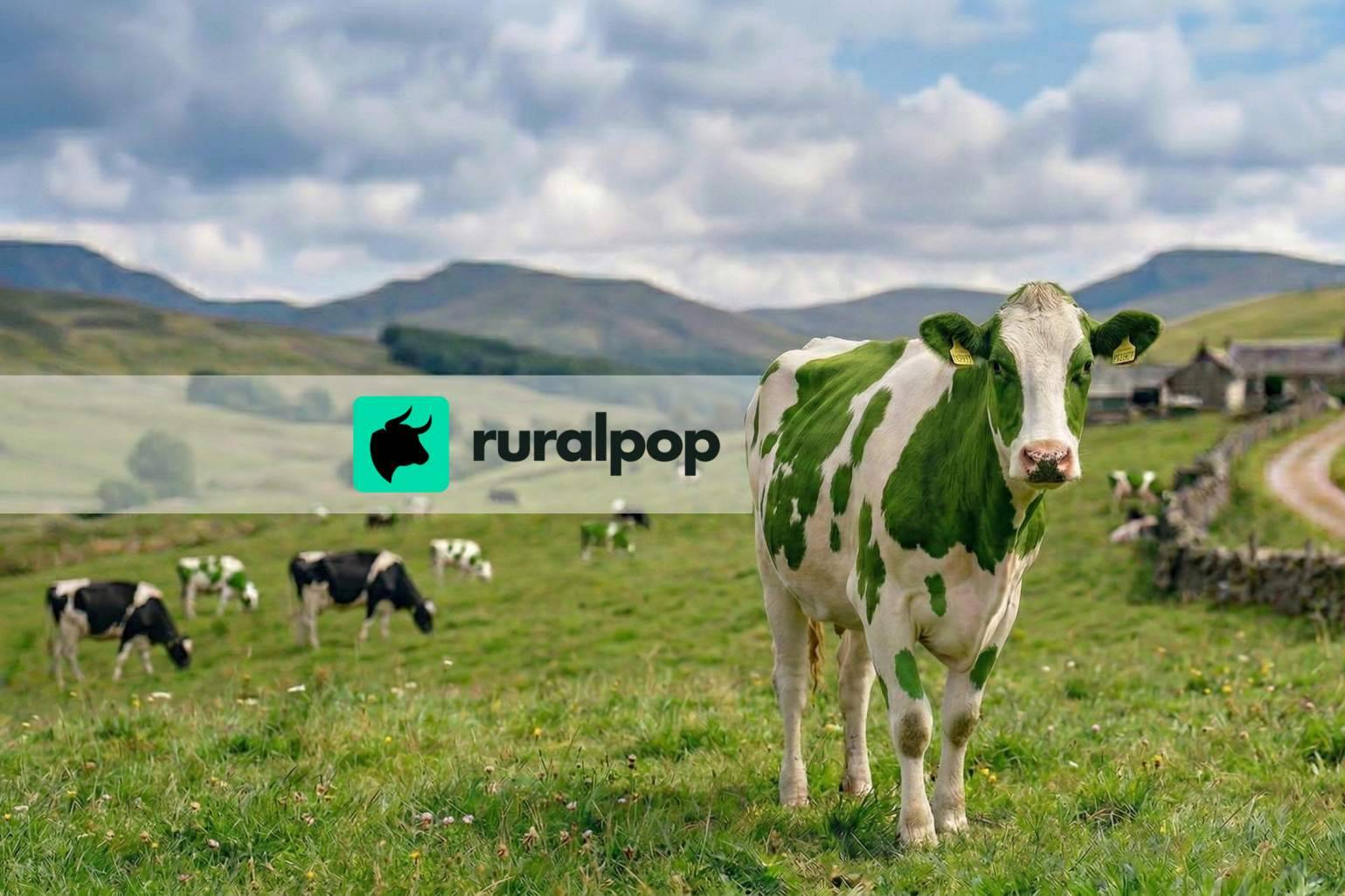 El cierre de Vacapop impulsa a Ruralpop como líder rural online