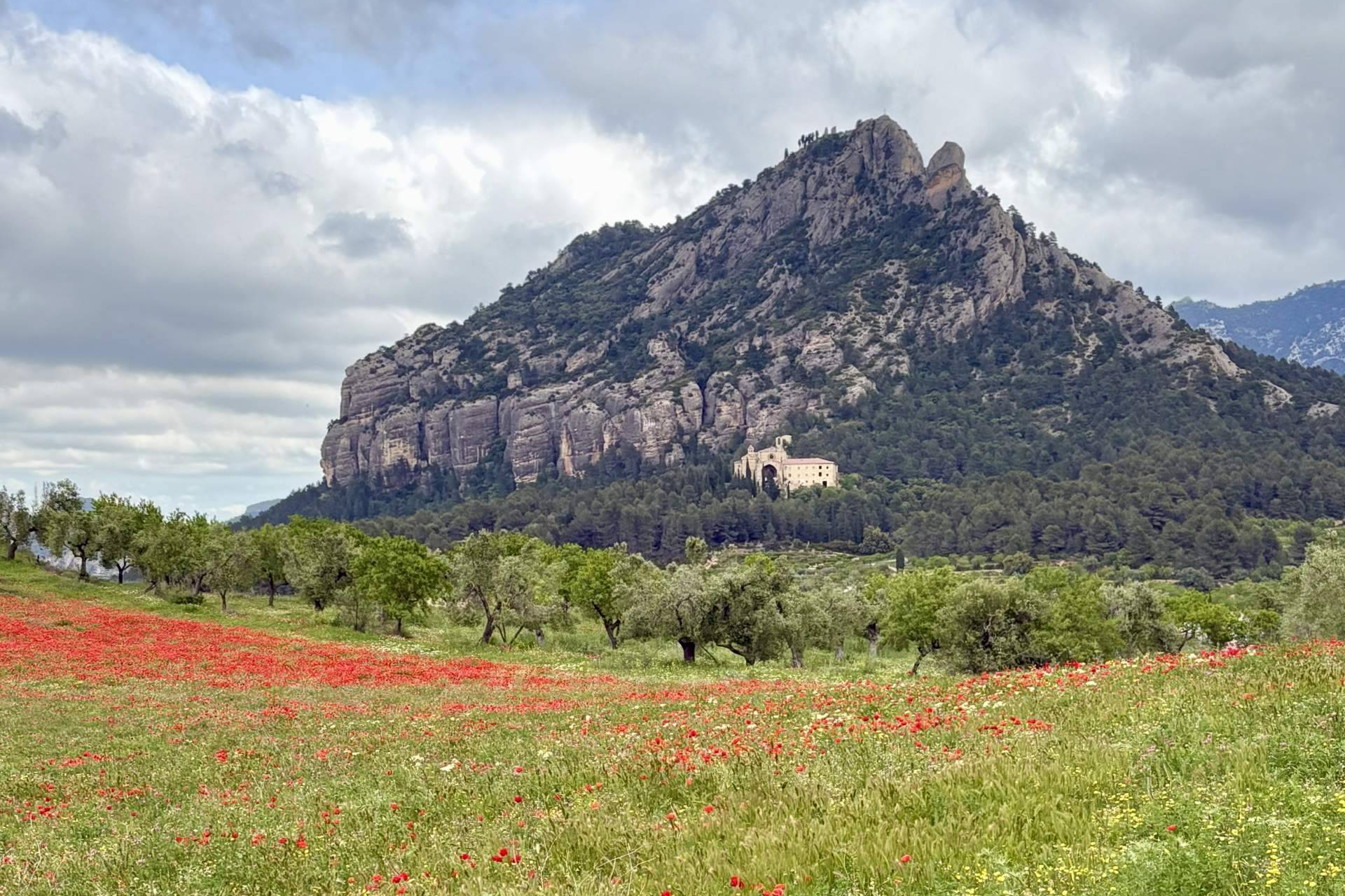 El nuevo lujo es descubrir Cataluña de forma auténtica