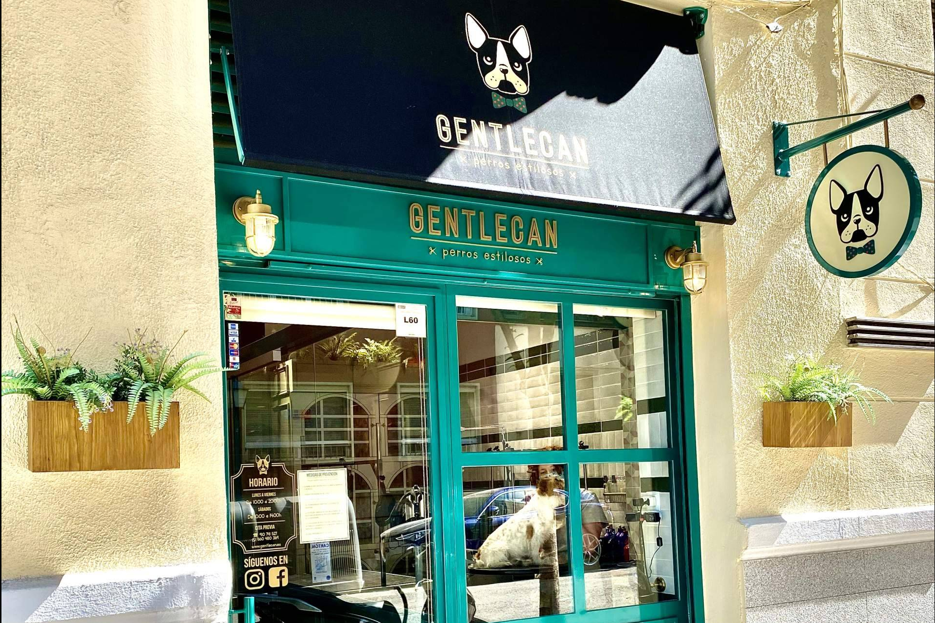 Gentlecan destaca como peluquería canina en Madrid con atención personalizada y servicios de estilismo exclusivos