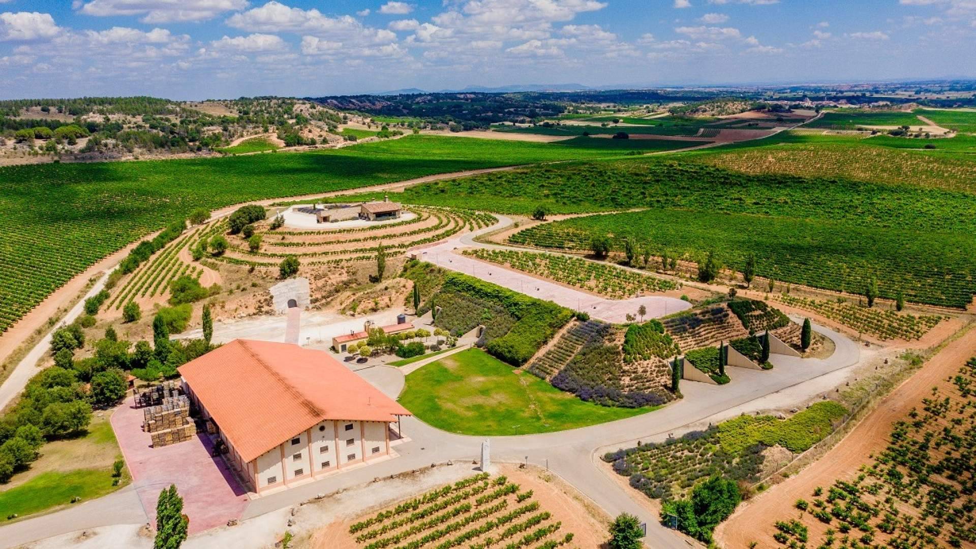 Difersa & Primavinia refuerza su liderazgo en Galicia con la incorporación de Bodegas Valduero a su portfolio de distribución