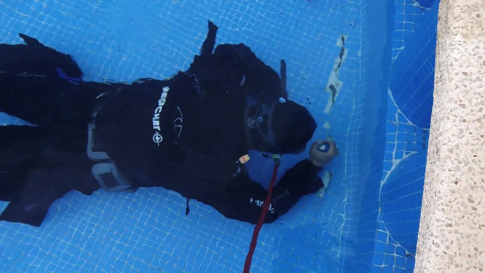 Reparación de fugas de piscinas en Alicante con tecnología avanzada y sin obras; la apuesta de Telefuga