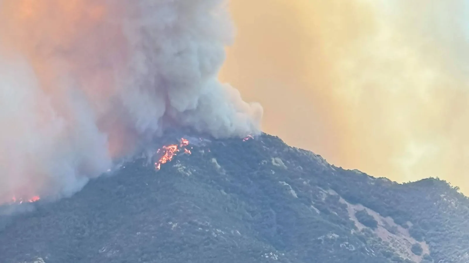 El incendio de Sierra de Espadán arrasa miles de árboles de Peña Alta y nace un plan para replantarlos